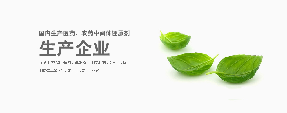 南通鸿志化工有限公司